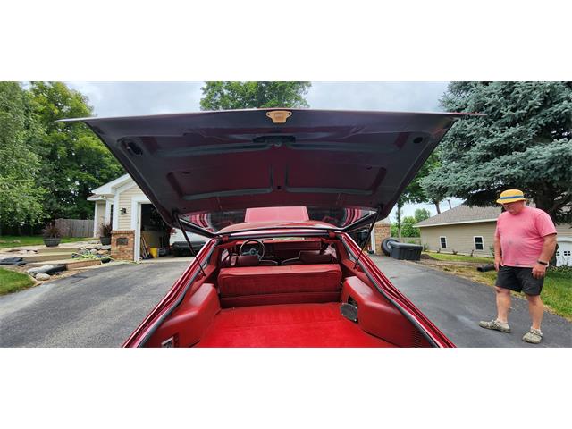 1979 Chevrolet Nova (CC-1769356) for sale in Belle Plaine, Minnesota, Minnesota