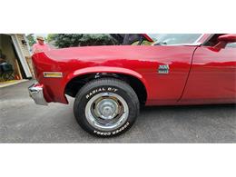 1979 Chevrolet Nova (CC-1769356) for sale in Belle Plaine, Minnesota, Minnesota