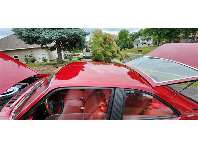 1979 Chevrolet Nova (CC-1769356) for sale in Belle Plaine, Minnesota, Minnesota