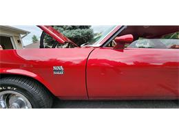 1979 Chevrolet Nova (CC-1769356) for sale in Belle Plaine, Minnesota, Minnesota