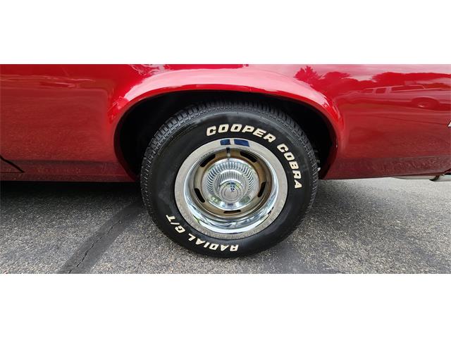 1979 Chevrolet Nova (CC-1769356) for sale in Belle Plaine, Minnesota, Minnesota