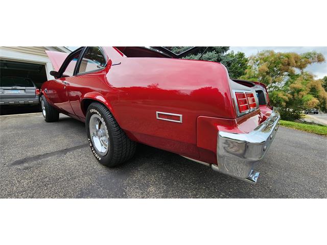 1979 Chevrolet Nova (CC-1769356) for sale in Belle Plaine, Minnesota, Minnesota