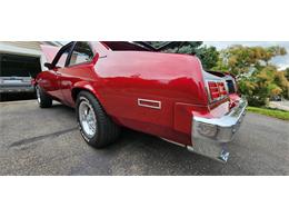 1979 Chevrolet Nova (CC-1769356) for sale in Belle Plaine, Minnesota, Minnesota