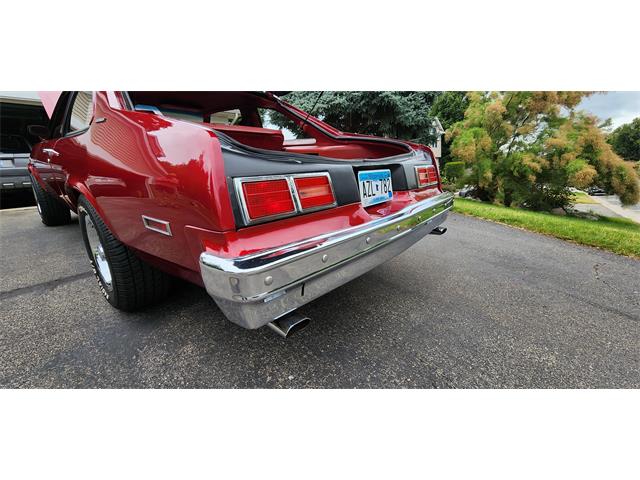 1979 Chevrolet Nova (CC-1769356) for sale in Belle Plaine, Minnesota, Minnesota