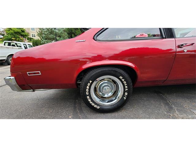 1979 Chevrolet Nova (CC-1769356) for sale in Belle Plaine, Minnesota, Minnesota