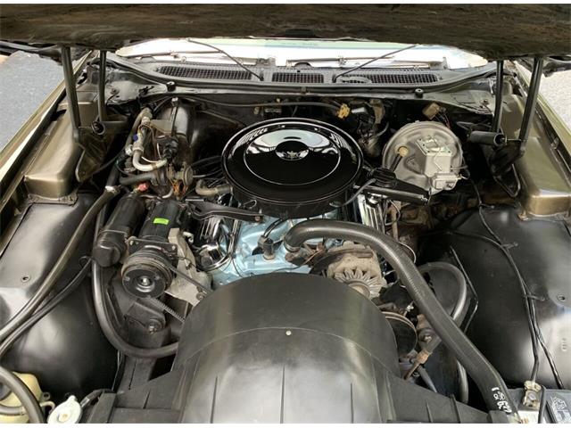 1969 Pontiac Grand Prix (CC-1769617) for sale in Clearwater, Florida
