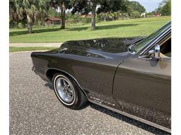 1969 Pontiac Grand Prix (CC-1769617) for sale in Clearwater, Florida