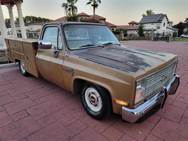 1984 Chevrolet C10 (CC-1769756) for sale in CONROE, Texas