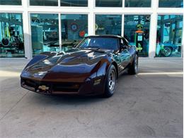 1981 Chevrolet Corvette (CC-1769820) for sale in Palmetto, Florida