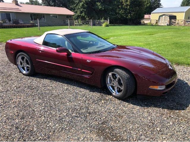 2003 Chevrolet Corvette (CC-1771311) for sale in Cadillac, Michigan