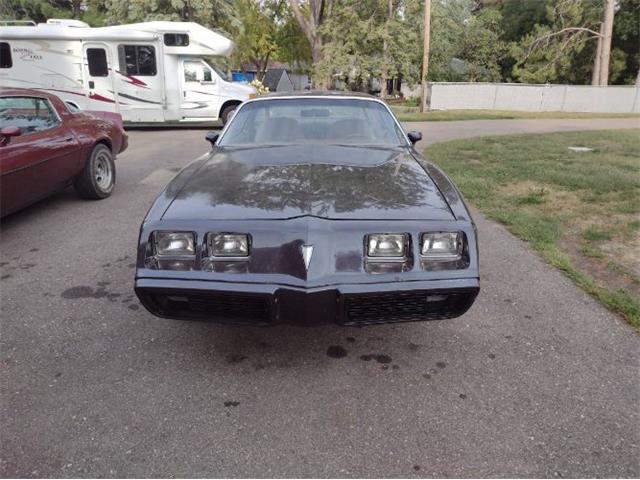 1980 Pontiac Firebird for Sale | ClassicCars.com | CC-1771329