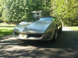 1982 Chevrolet Corvette (CC-1771550) for sale in Potomac, Maryland