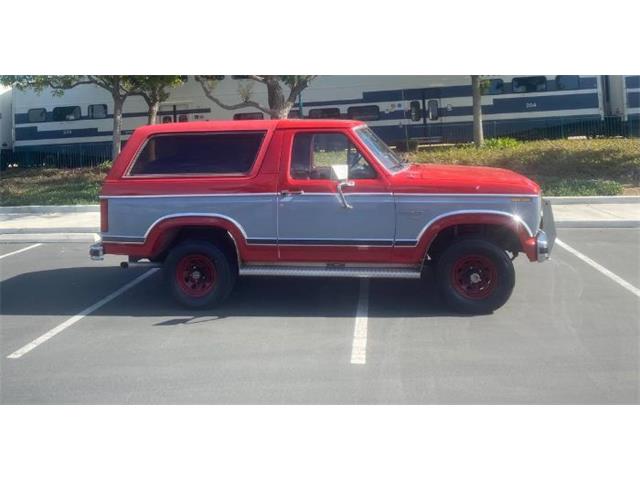 1983 Ford Bronco (CC-1771632) for sale in Cadillac, Michigan