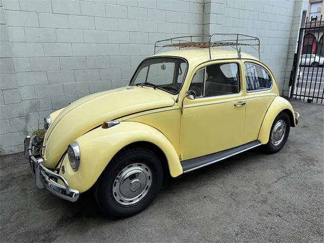 1967 Volkswagen Beetle (CC-1771778) for sale in OAKLAND, California