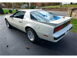 1987 Pontiac Firebird Formula (CC-1771842) for sale in Lake Hiawatha, New Jersey