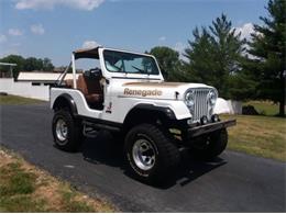 1978 Jeep CJ5 (CC-1770185) for sale in Cadillac, Michigan