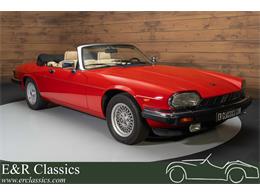 1991 Jaguar XJS (CC-1771891) for sale in Waalwijk, Noord-Brabant