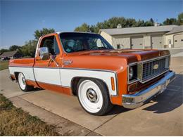 1974 Chevrolet Pickup (CC-1770201) for sale in Cadillac, Michigan