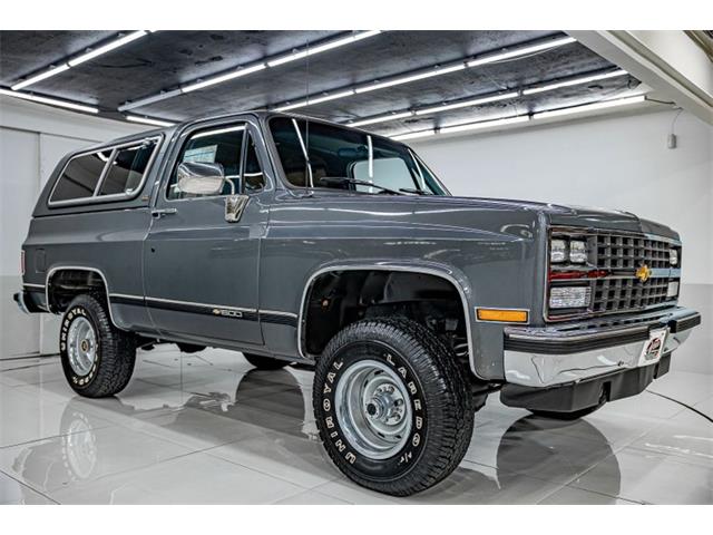 1989 Chevrolet Blazer (CC-1772025) for sale in Volo, Illinois