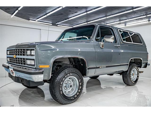 1989 Chevrolet Blazer (CC-1772025) for sale in Volo, Illinois
