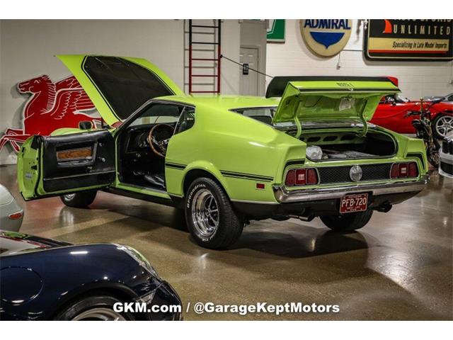 1971 Ford Mustang (CC-1770208) for sale in Grand Rapids, Michigan