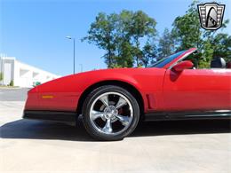 1984 Pontiac Firebird (CC-1772266) for sale in O'Fallon, Illinois