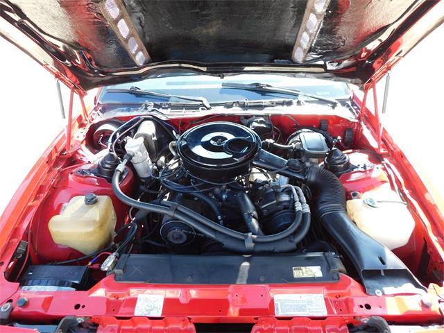 1984 Pontiac Firebird (CC-1772266) for sale in O'Fallon, Illinois