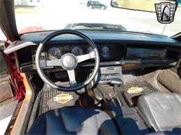 1984 Pontiac Firebird (CC-1772266) for sale in O'Fallon, Illinois