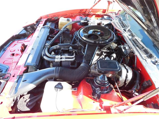 1984 Pontiac Firebird (CC-1772266) for sale in O'Fallon, Illinois