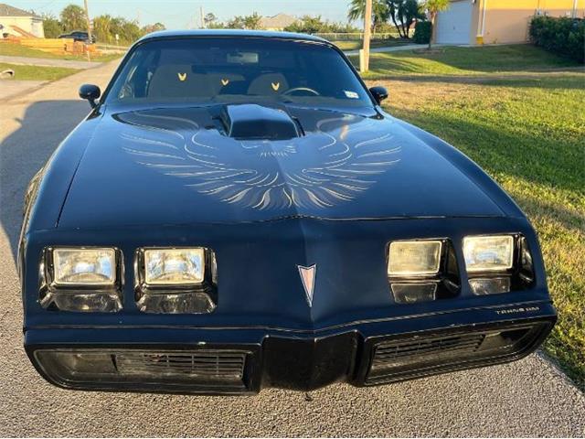 1980 Pontiac Firebird Trans Am (CC-1772308) for sale in Cadillac, Michigan