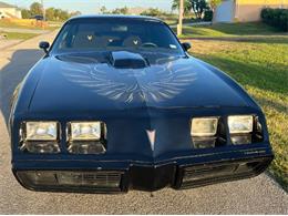 1980 Pontiac Firebird Trans Am (CC-1772308) for sale in Cadillac, Michigan