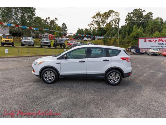 2016 Ford Escape (CC-1772443) for sale in Lenoir City, Tennessee