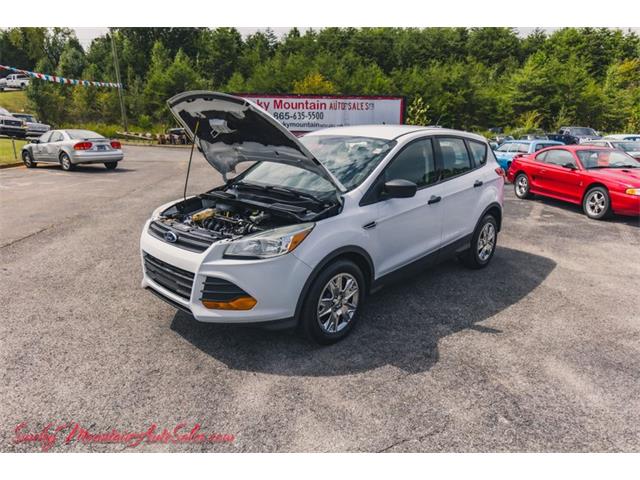 2016 Ford Escape (CC-1772443) for sale in Lenoir City, Tennessee