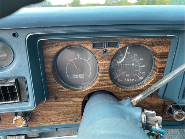 1976 Chevrolet Monte Carlo (CC-1772500) for sale in Ramsey, Minnesota