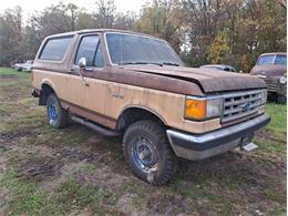 1987 Ford Bronco (CC-1772726) for sale in Thief River Falls, MN, Minnesota
