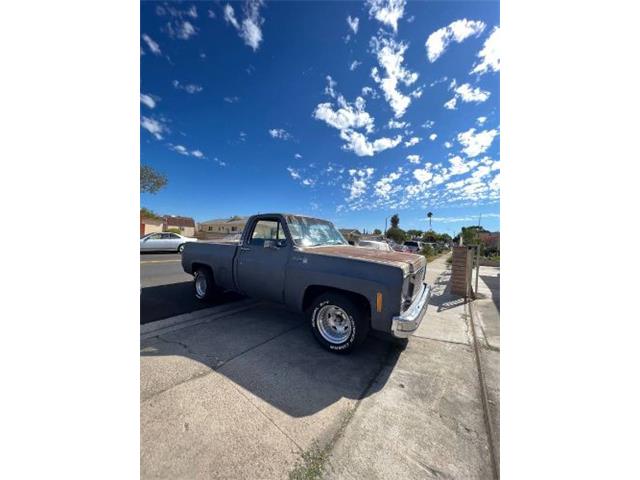 1977 Chevrolet C10 (CC-1772810) for sale in Cadillac, Michigan