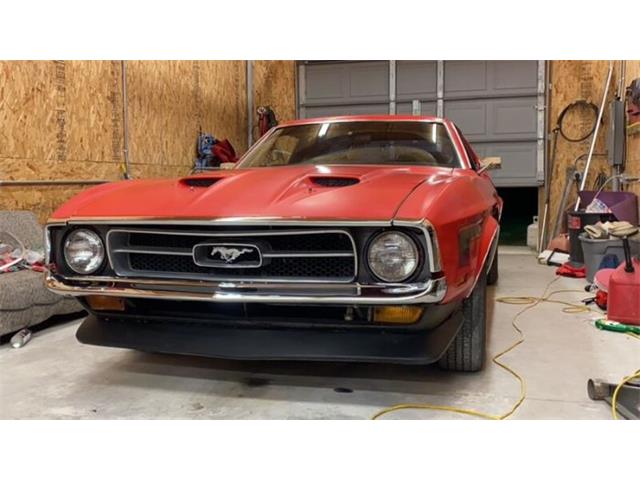 1971 Ford Mustang (CC-1772819) for sale in Cadillac, Michigan