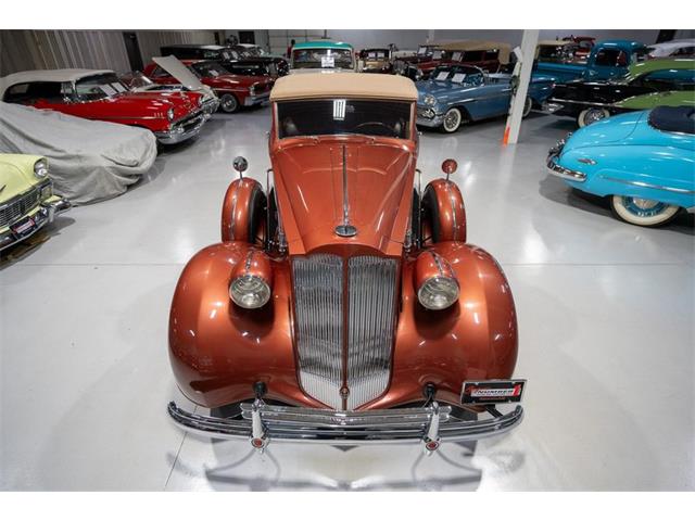 1937 Packard Twelve (CC-1772846) for sale in Rogers, Minnesota