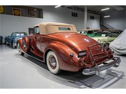 1937 Packard Twelve (CC-1772846) for sale in Rogers, Minnesota