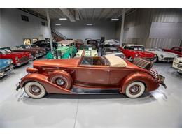 1937 Packard Twelve (CC-1772846) for sale in Rogers, Minnesota
