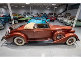 1937 Packard Twelve (CC-1772846) for sale in Rogers, Minnesota