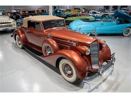 1937 Packard Twelve (CC-1772846) for sale in Rogers, Minnesota