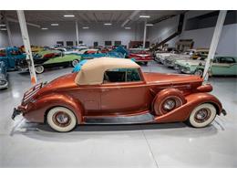 1937 Packard Twelve (CC-1772846) for sale in Rogers, Minnesota