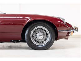 1972 Jaguar E-Type (CC-1773313) for sale in Naarden, North-Holland