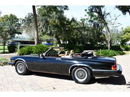 1989 Jaguar XJS (CC-1773526) for sale in Lakeland, Florida