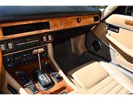 1989 Jaguar XJS (CC-1773526) for sale in Lakeland, Florida