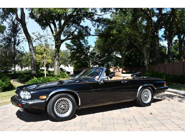 1989 Jaguar XJS (CC-1773526) for sale in Lakeland, Florida