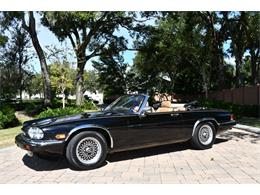 1989 Jaguar XJS (CC-1773526) for sale in Lakeland, Florida