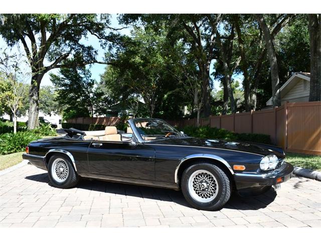 1989 Jaguar XJS (CC-1773526) for sale in Lakeland, Florida