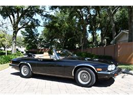 1989 Jaguar XJS (CC-1773526) for sale in Lakeland, Florida